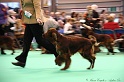 Crufts2011 915